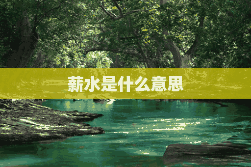 薪水是什么意思(14薪水是什么意思)